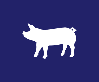 Africa Swine Fever in South Africa: The ongoing battle