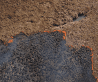 Fire: The good servant, the bad master
