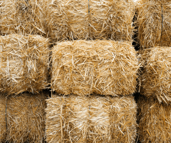 Hay Contaminants: Chemical, Biological and Physical hazards