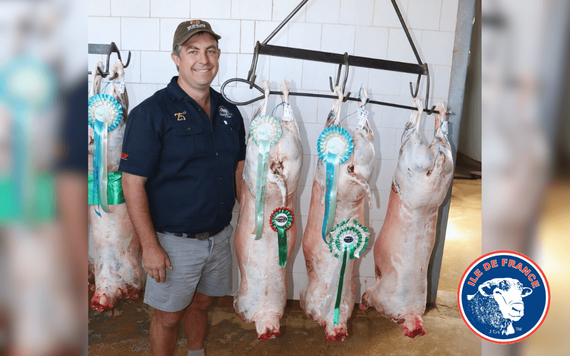 Ile de France Reigns Supreme at NWK Retail Slaglamskou