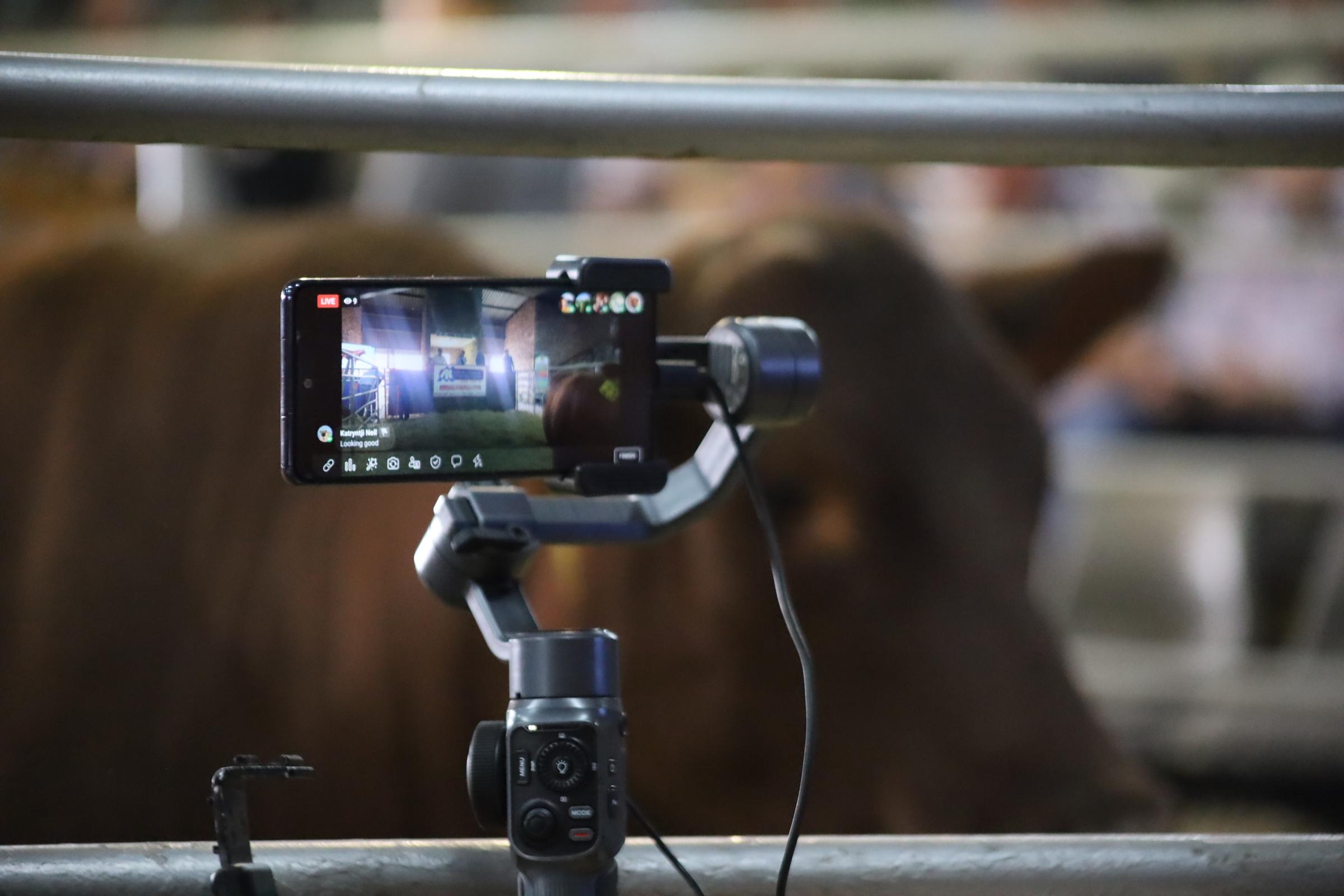 Farmspace Auctions and Events