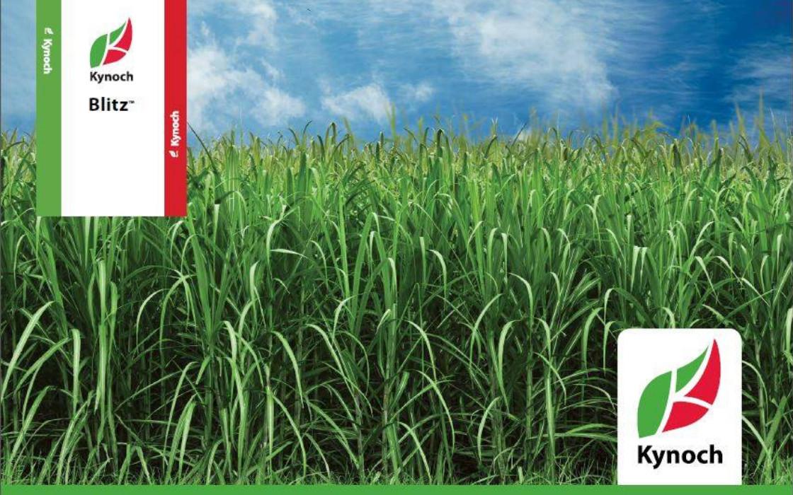 Kynoch’s Blitz Fertiliser
