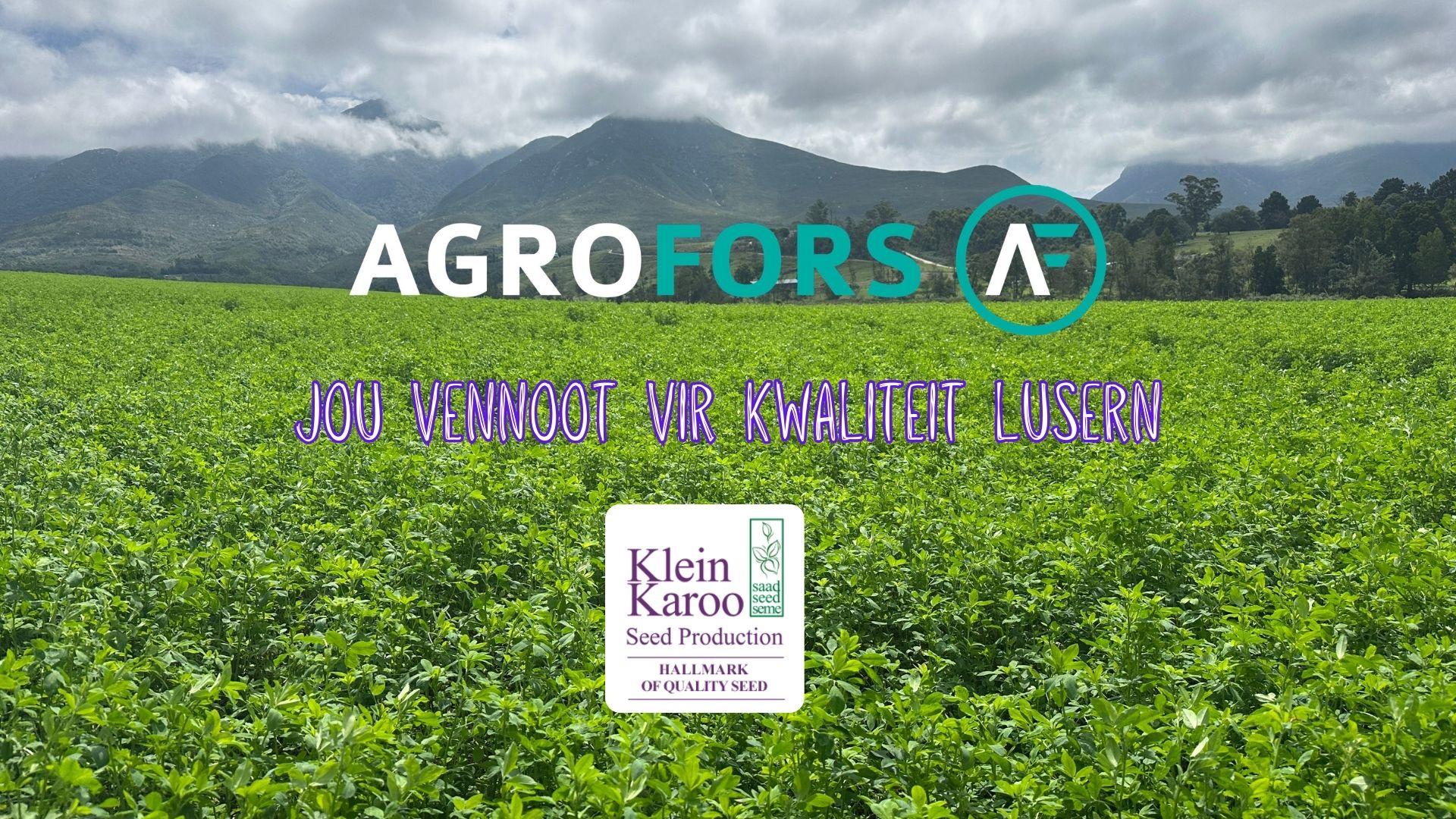 AgroFors LusernToer 2026: Drie dae van praktiese kennis, genetika en vennootskap op plaasvlak