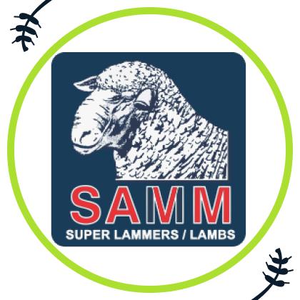 Die Nasionale SA Vleis Merino Skou