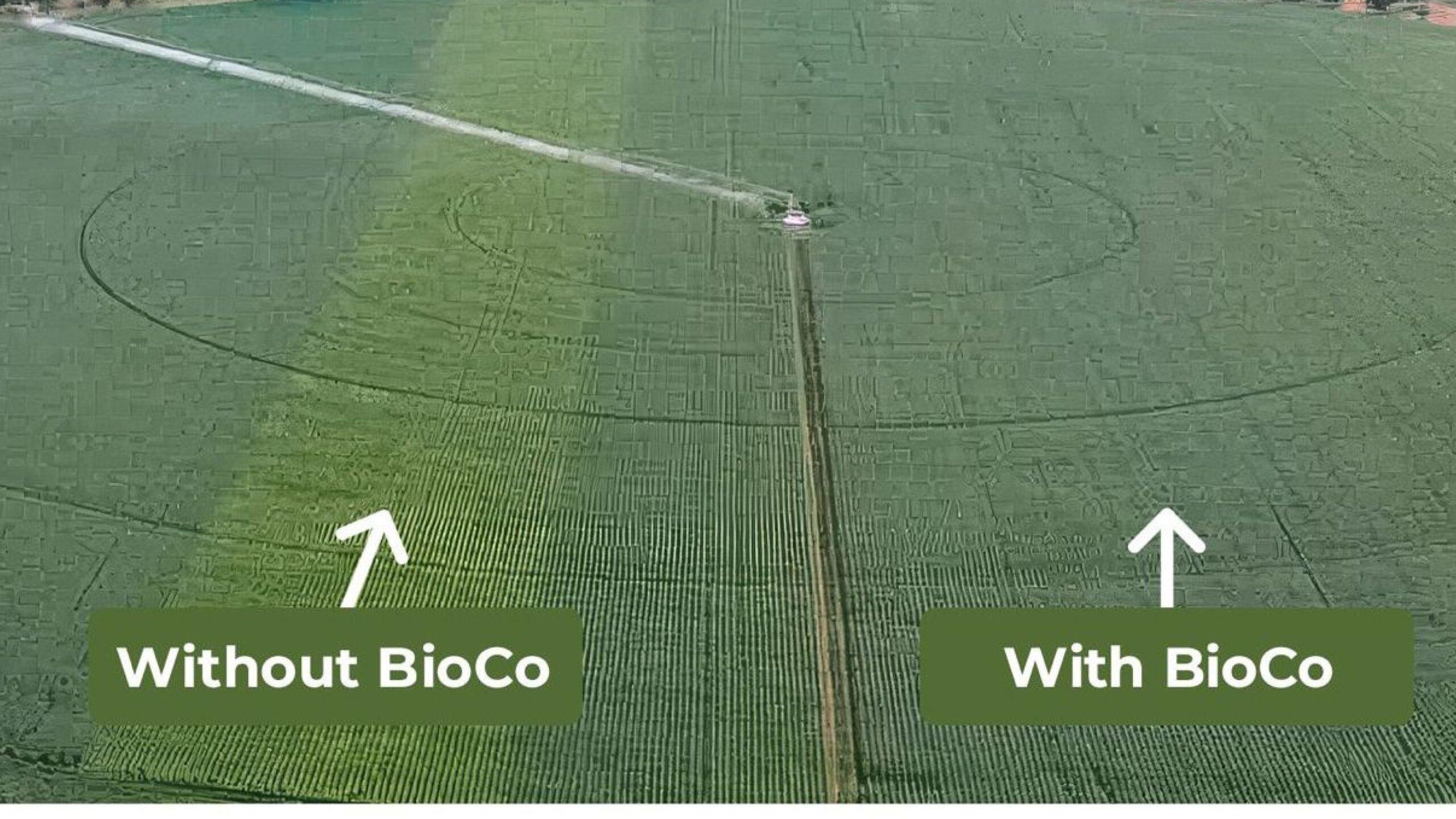 At Last! This is what really works for your soybean yield