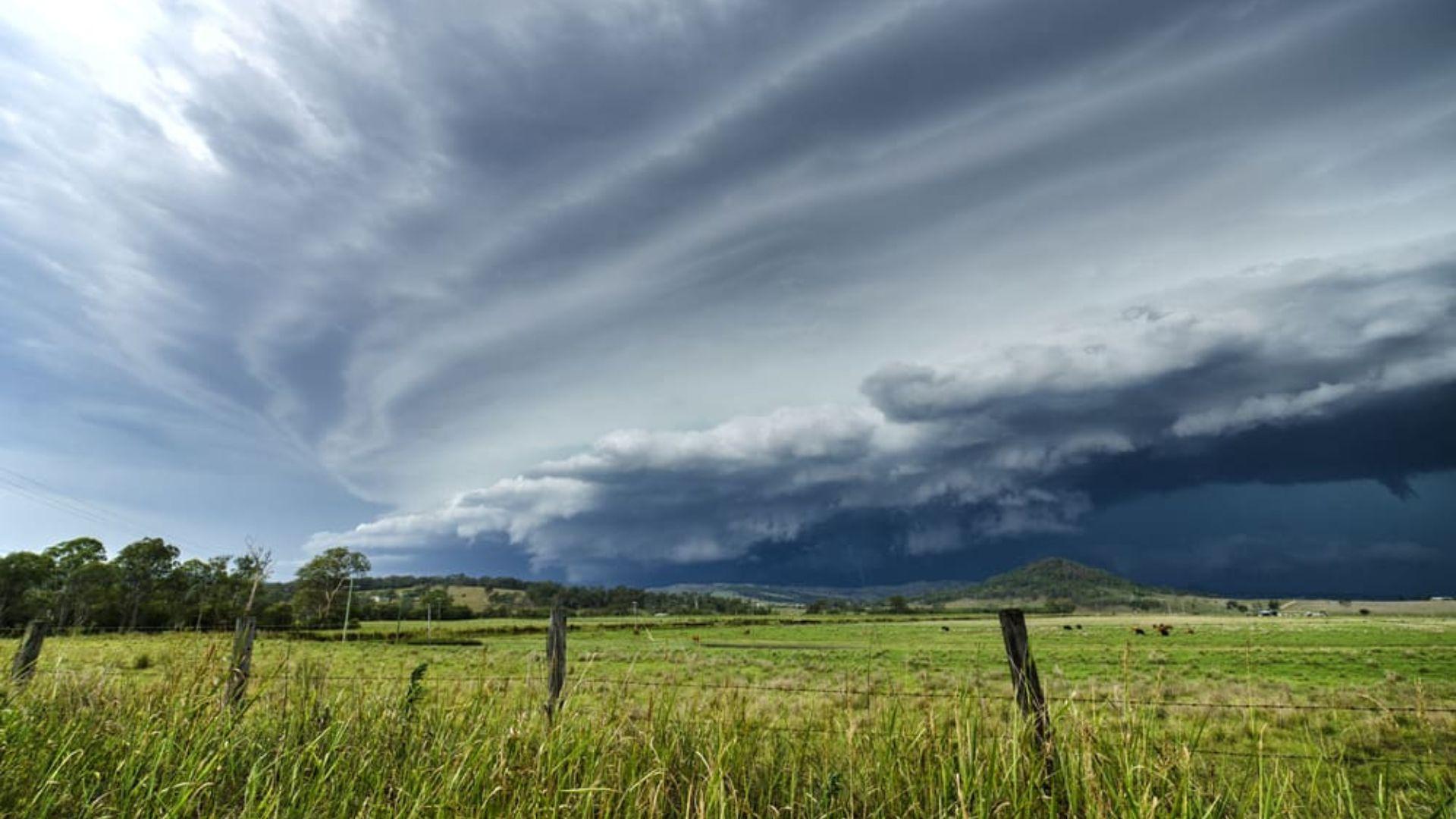 Rain or Ruin: How Extreme Weather is Reshaping South African Farming