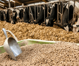 Optimising your feeding strategies this winter