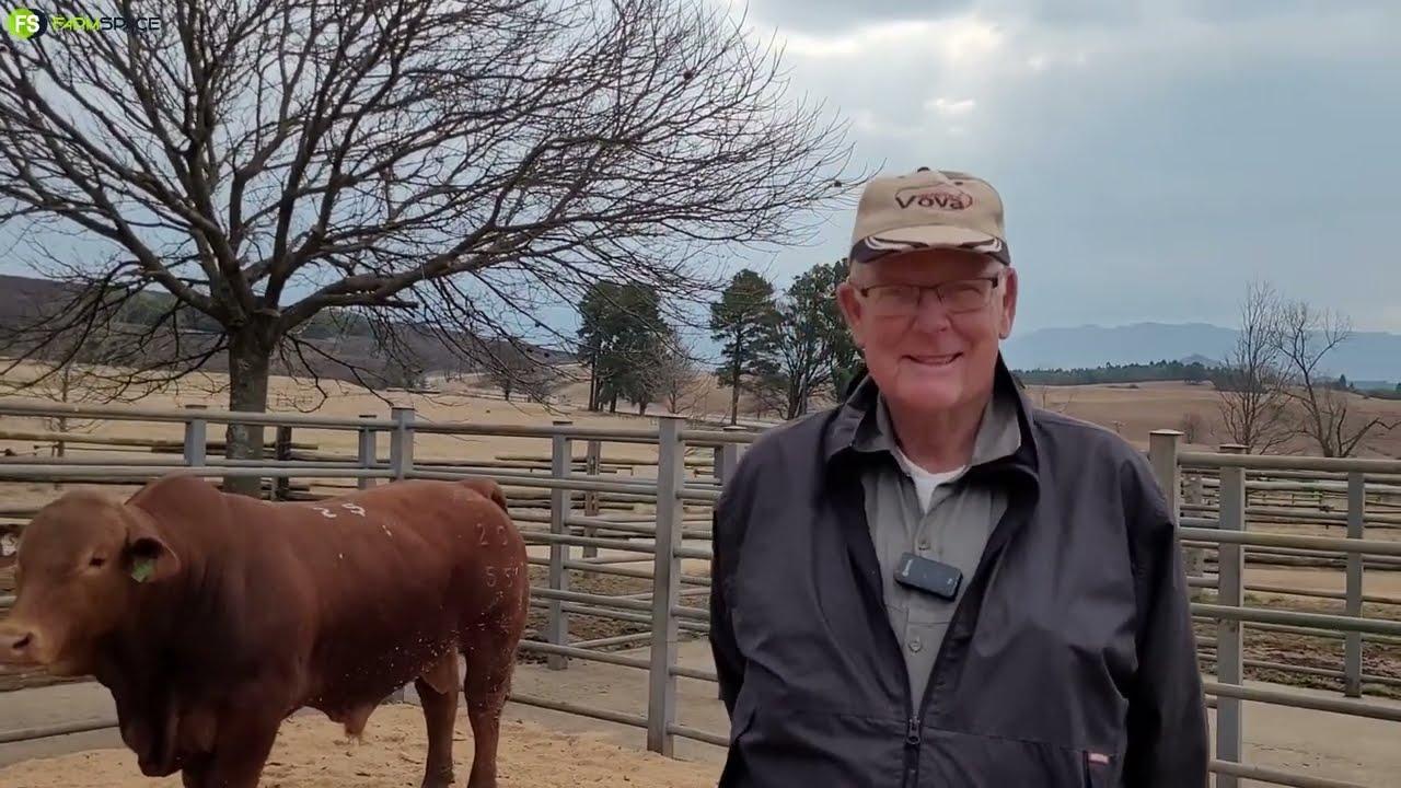 Ons gesels met Ian Curry na afloop van die Focused on Beef Produksie Veiling 2022.