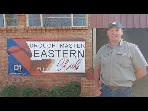 Chris van Brandwater Droughtmasters oor die Droughtmaster Eastern Club Sale