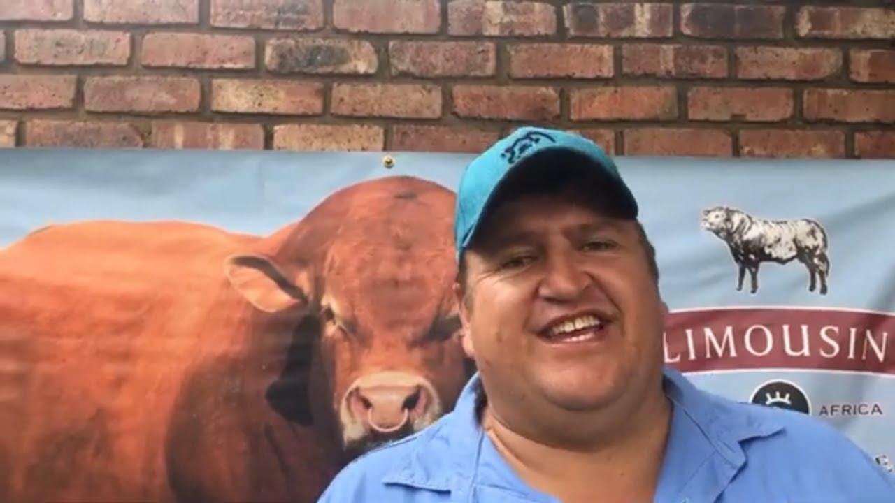 Louwrens van Louwcoe Limousines gesels oor die Xourel Limousins veiling 2024