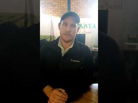 Ons praat bietjie beet