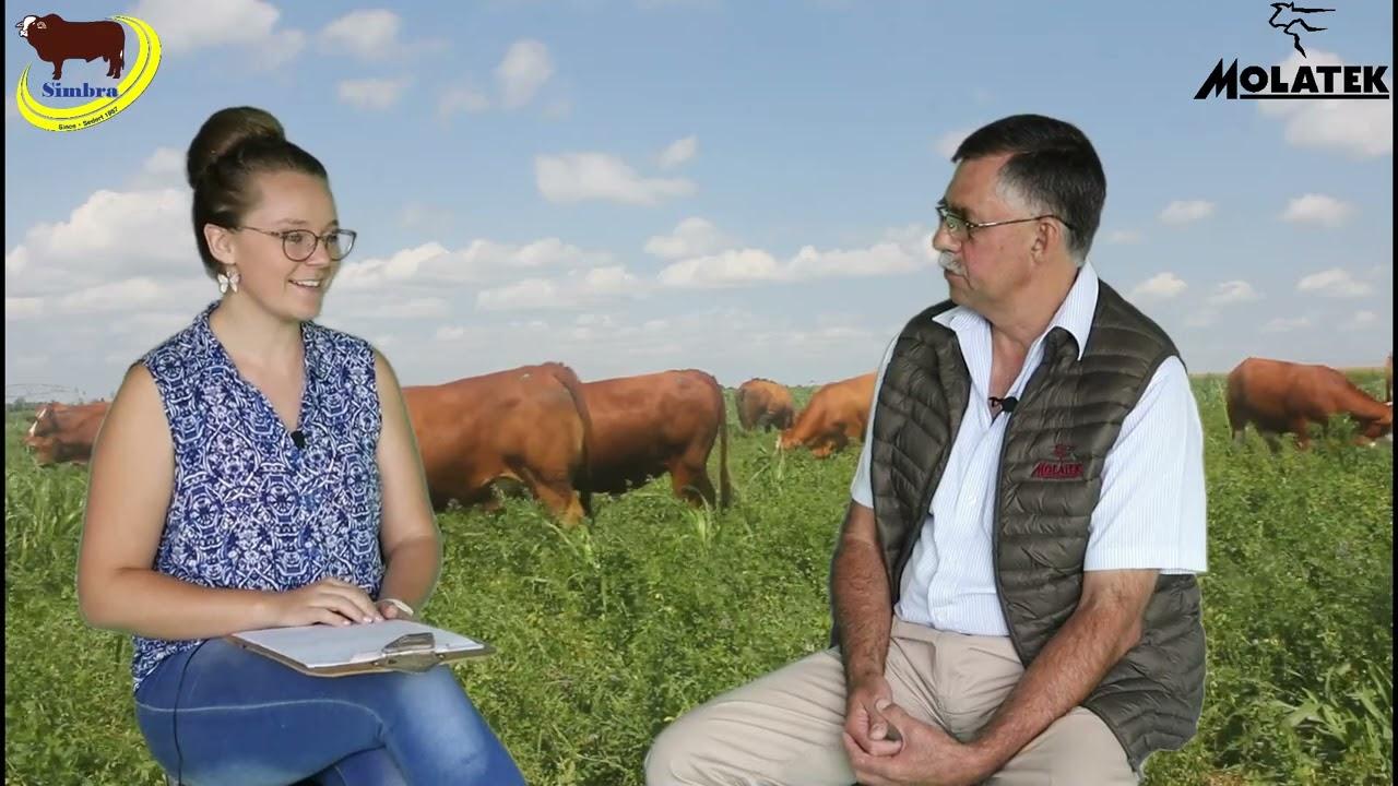 Simbra Saterdae - Deel 1 - Die Uitgroei van Verse