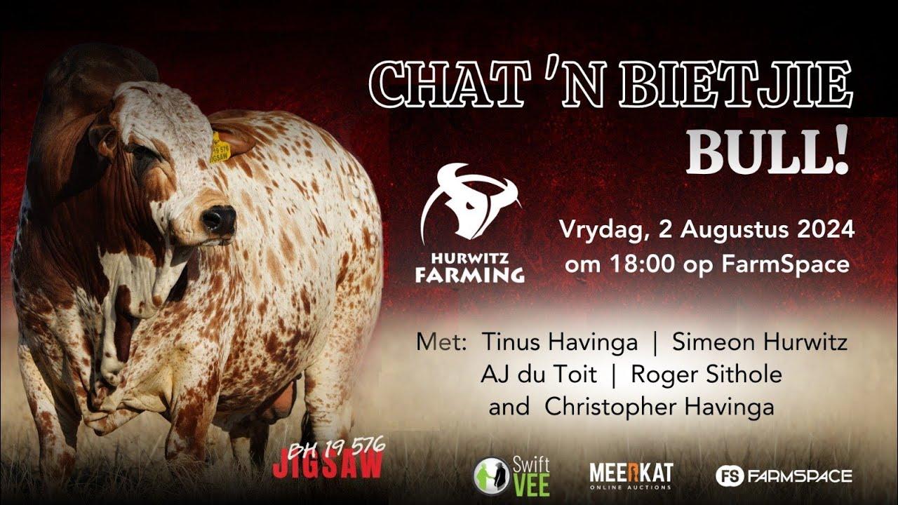 Chat 'n bietjie Bull: Live Discussion from the Bull Ring