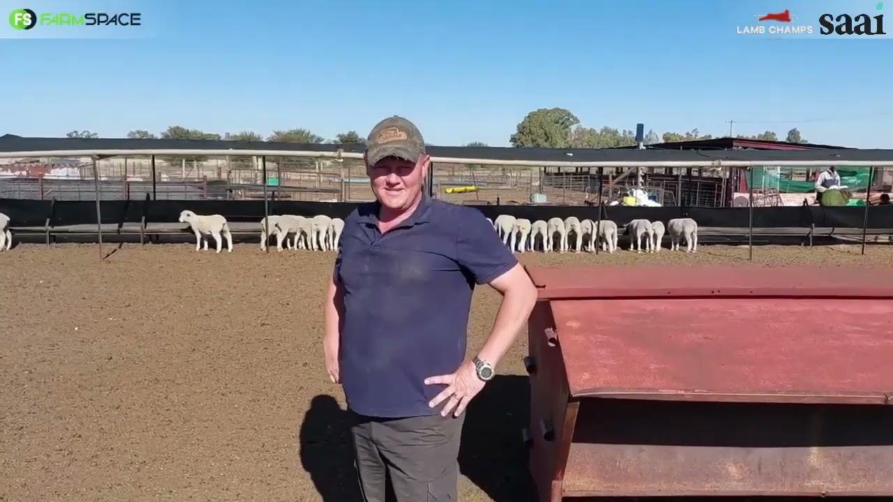 Watse karkas het Christo Greyling vir Lamb Champs ingeskryf en wat is sy verwagting?