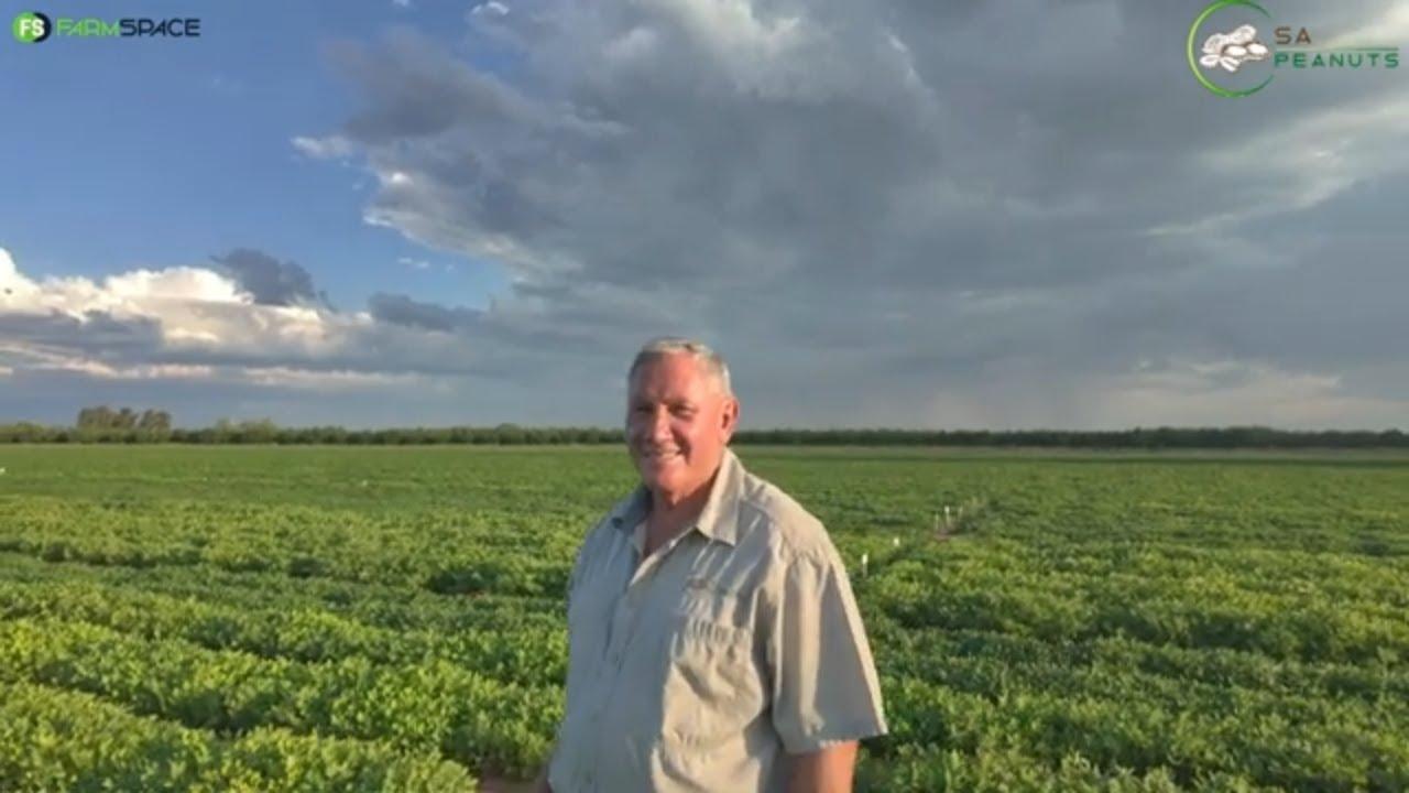 Is jy ‘n grondboontjie boer? Dan is hierdie video vir jou bedoel!