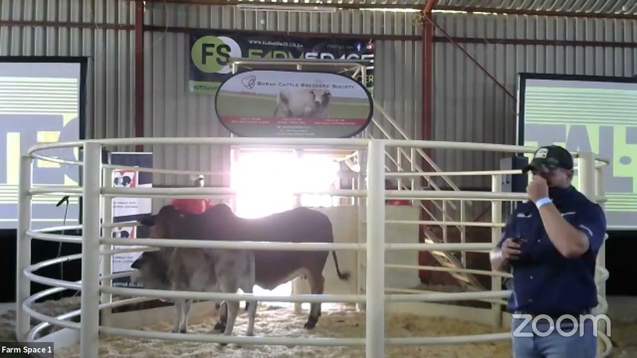 Farmspace Drukbeweidingsdag Deel 1