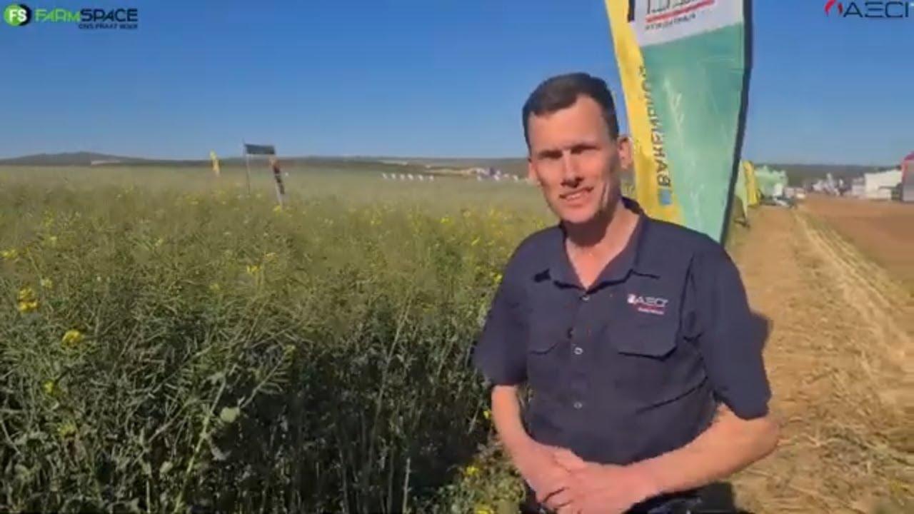 AECI by Nampo Kaap / Cape 2023