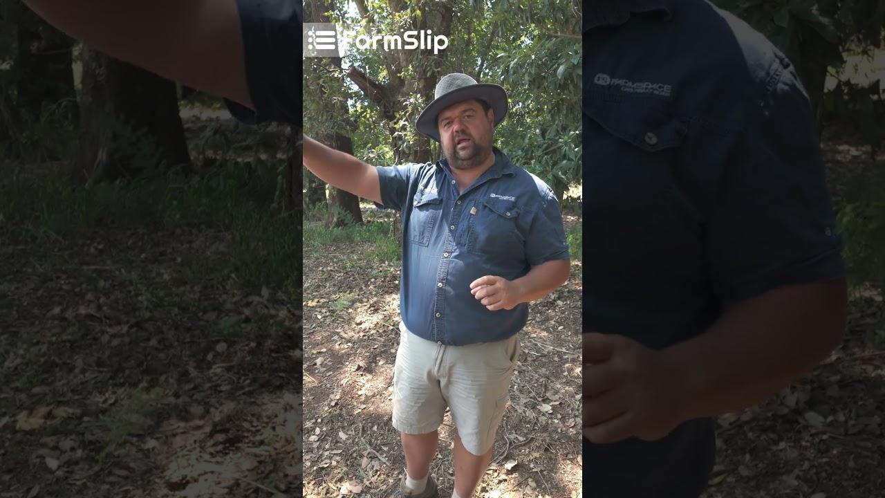 Dis tyd om ontslae te raak van al die papiertjies!