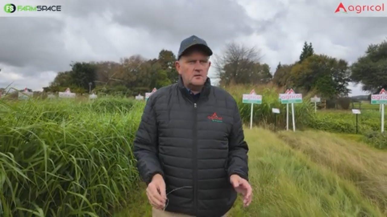 Wil jy meer weet van Somer grasse en peulgewasse?