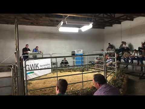Cape Boran Prestige Auction Session 2