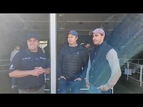 Nampo 2023 - Merino Suid-Afrika