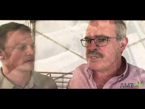 AMT Livestock & Grain Outlook - 13 Feb 2019