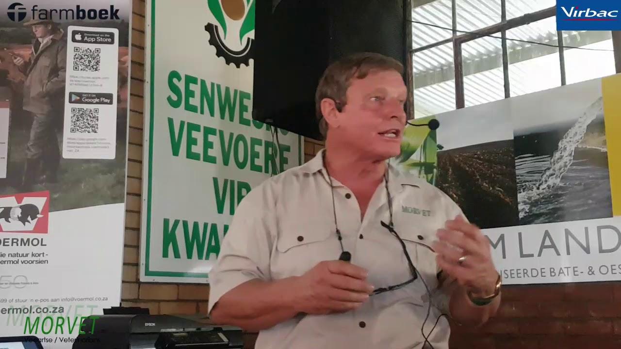 Dr Martin Ferreira from Morvet discuss animal health at our Voermol Strip Grazing Day 2020