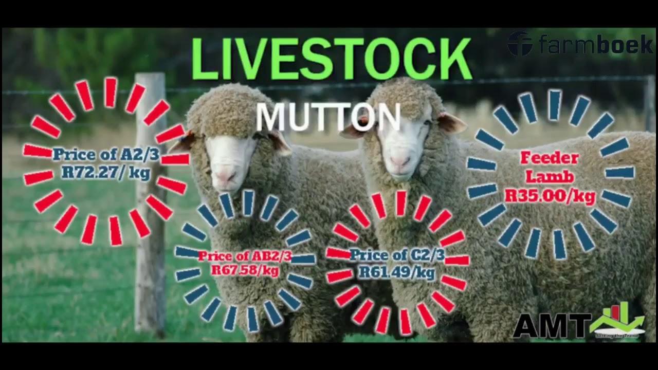 AM Trends Grain and Livestock report - 5 Dec 2018