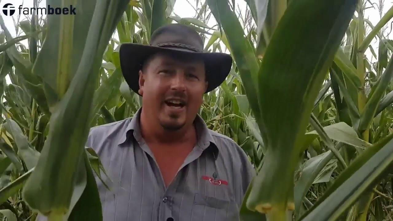 Chrissiesmeer Farmers Day 2020 - Link Seed