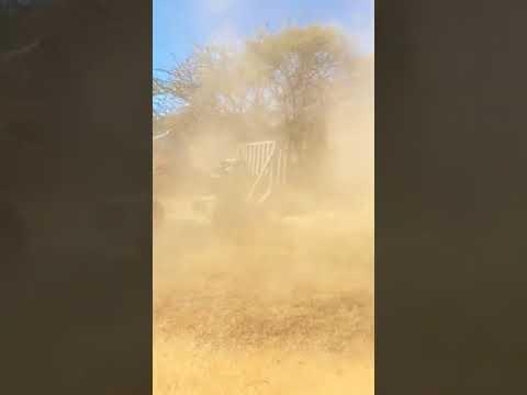 Wuhlf Buffel Demo 1 - Ontbossing