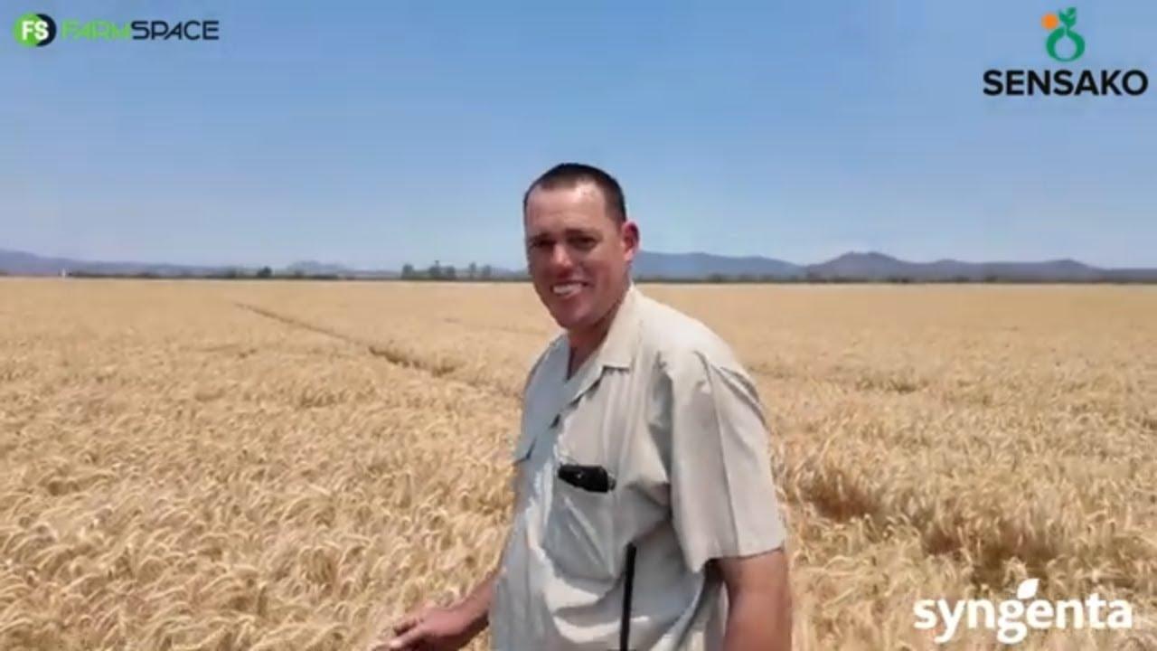 Hoe het SST8205 vir Koos Pieterse van Thabazimbi behandel?