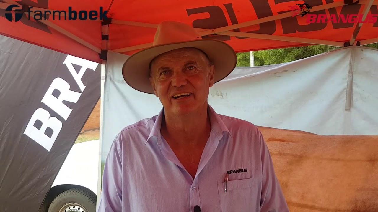 Brangus waar kom dit vandaan en wat is hulle toekoms planne. Ons vind meer uit oor die winsras.