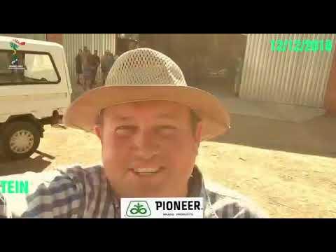 Pioneer Seed SA in Bultfontein