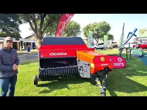 Cicoria deur Rovic Leers op Nampo Alfa 2022