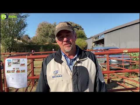 Fonteine Boran Auction Recap & Results