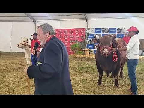 Algehele Opperste Kampioenskap by Bloem Show 2023