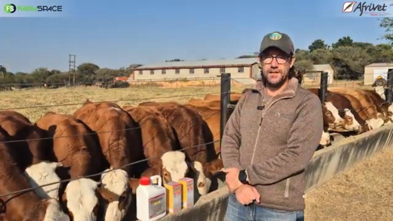Hoe maak Afrivet 'n verskil aan boere in die Bosveld area?