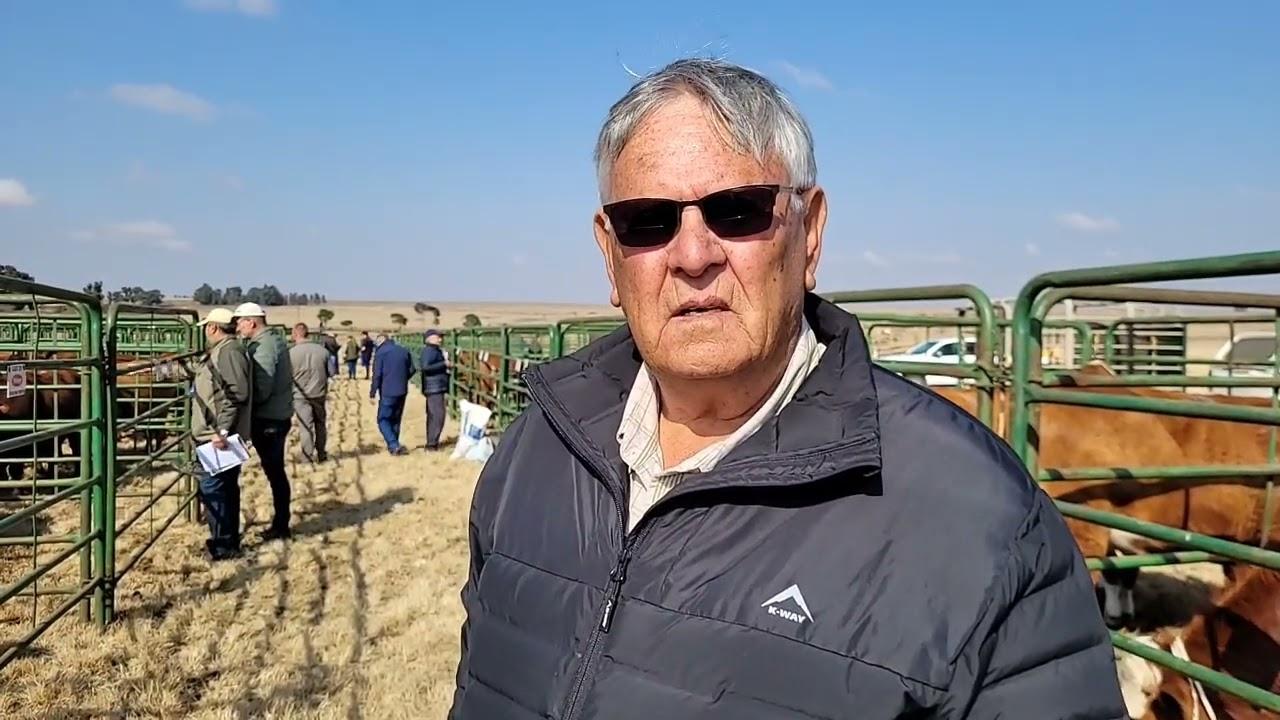 Rocky Droughtmaster Veiling 2 Aug 2022 - Adriaan Odendaal