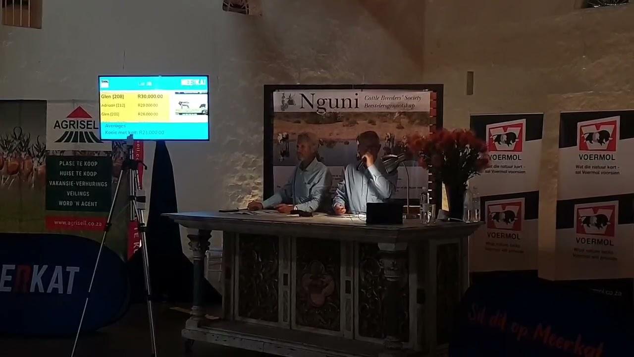 Baie geluk aan die Nguni Regainer Groep met 'n fantastiese stoet veiling