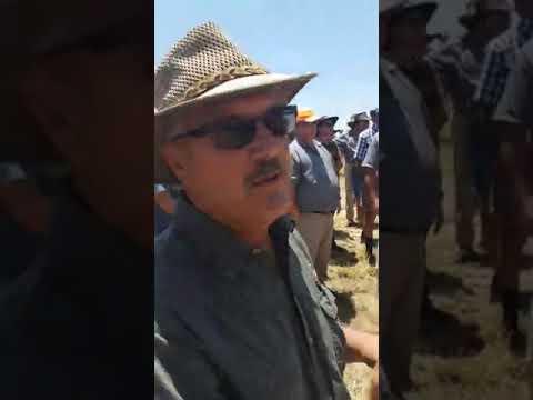 Balfour Hay Day 2018 - John Deere, Falcon and Kuhn