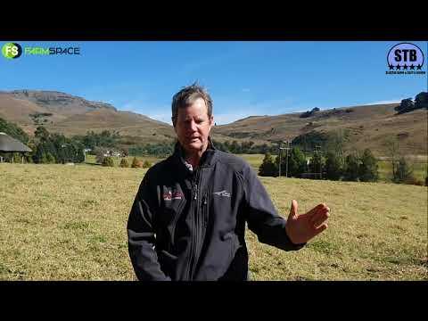 Brandon Leer chats to us about the upcoming Stey Braes Auction