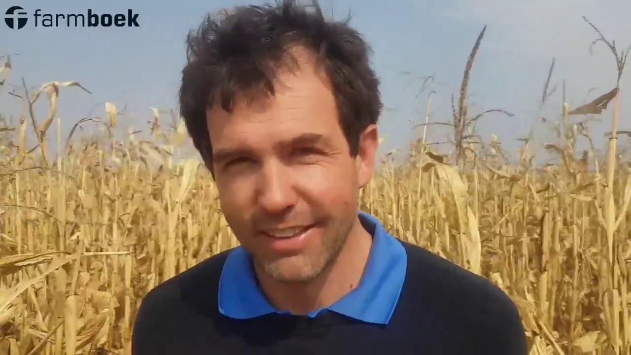 We are finally harvesting the silage maize - Precision Farmers Day 2019