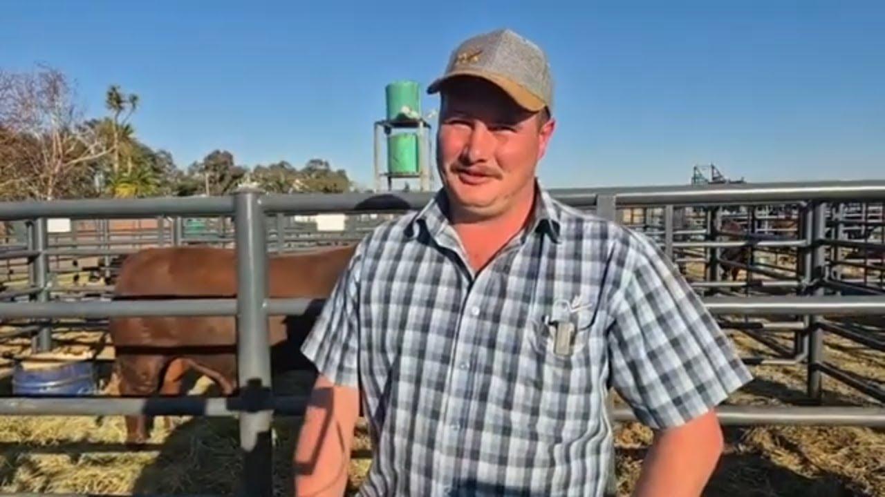 Henk Kirchner van OVK Lewendehawe & Veilings gesels oor die Eastern Club Droughtmaster.