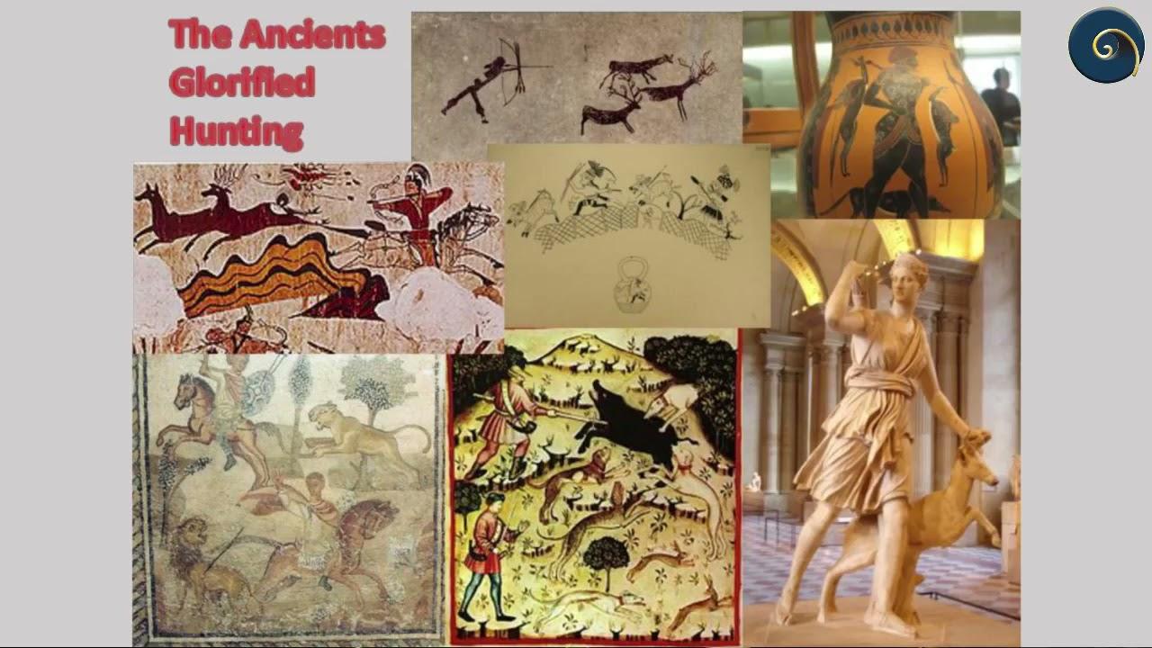 SUCo SA - This is our Heritage - Stephen Palos