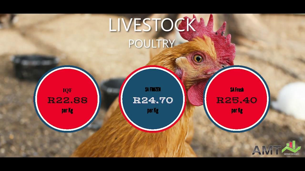 AMT Grain and Livestock Overview - 23 Jan 2019
