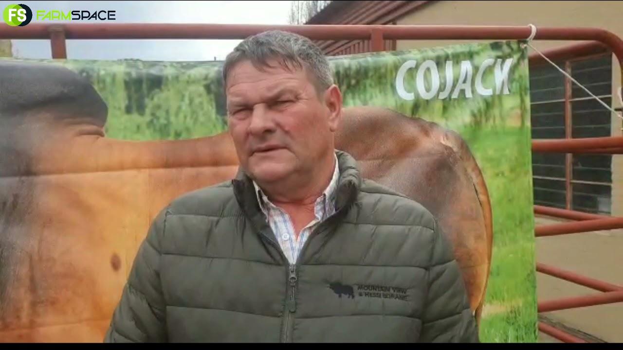 Christo Meyer gesels oor die Bosiu Borane Veiling 2021