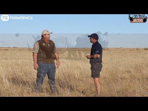 Crous Broers Rhino Auction, 23 - 25 June! Riaan tells us more about the Auction with @meerkatonlineauctions