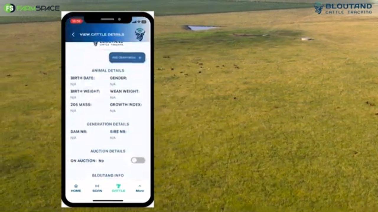 Kan Bloutand Cattle Tracking help met die hele Bek en Klouseer besigheid?