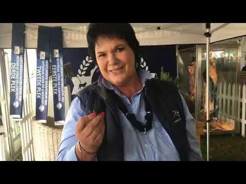A meat competition - Swartland Show 2019