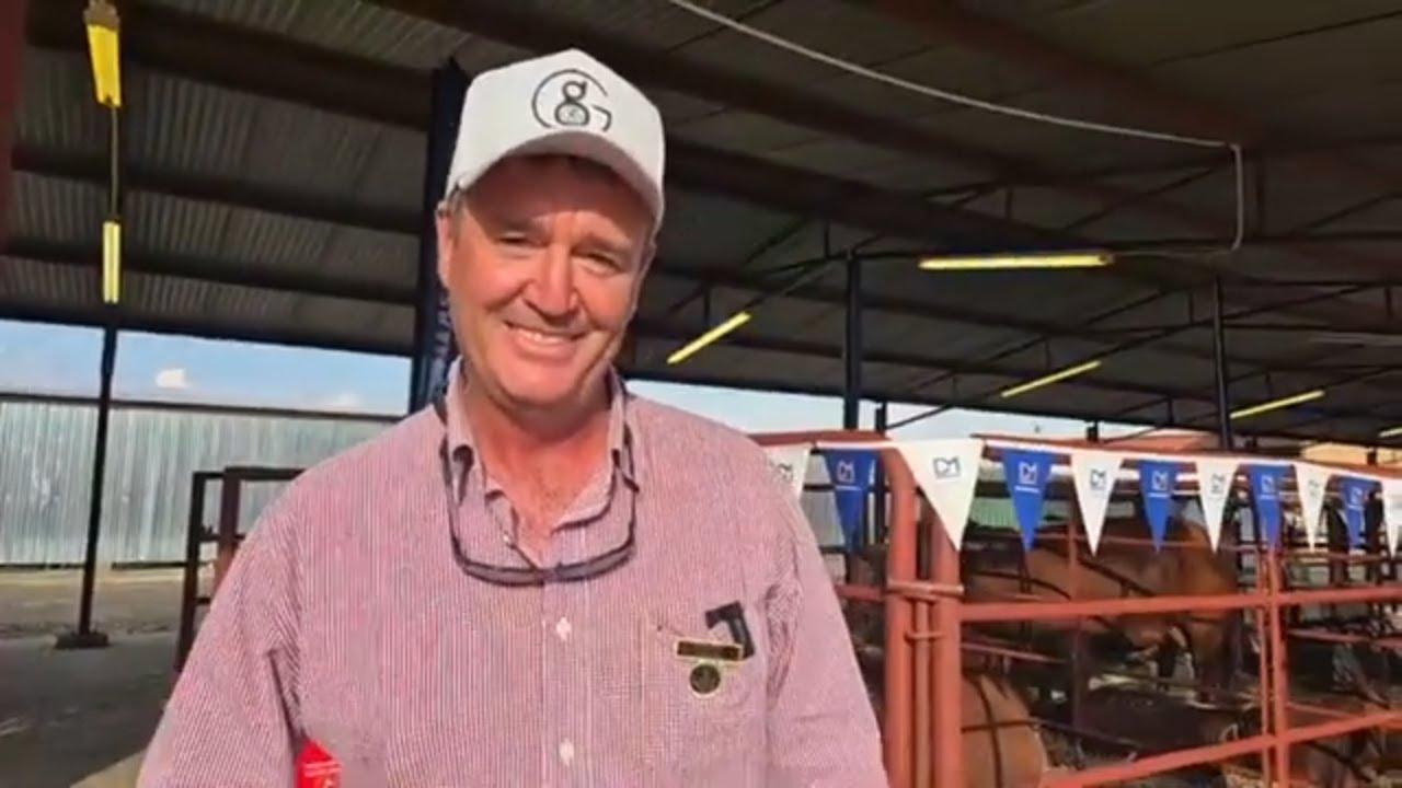 Glenlands Droughtmasters se Darren Childs by die jaar se Droughtmaster SA se NAMPO 2024.
